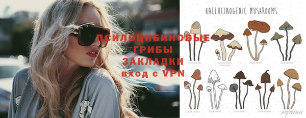 кокаин премиум Богданович