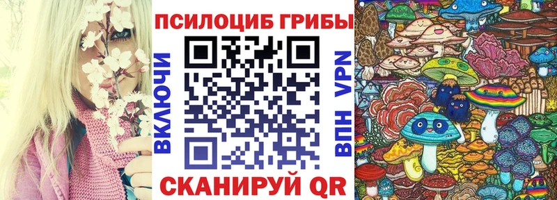 Купить закладки  Мегион  Галлюциногенные грибы GOLDEN TEACHER 